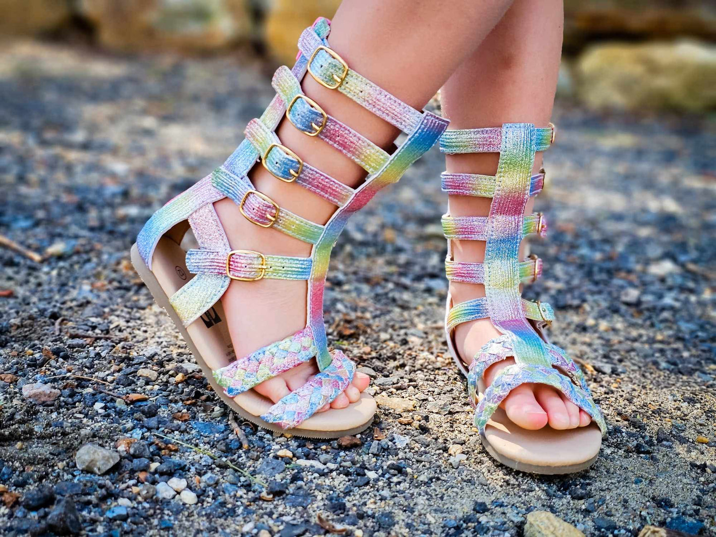 Rainbow gladiators