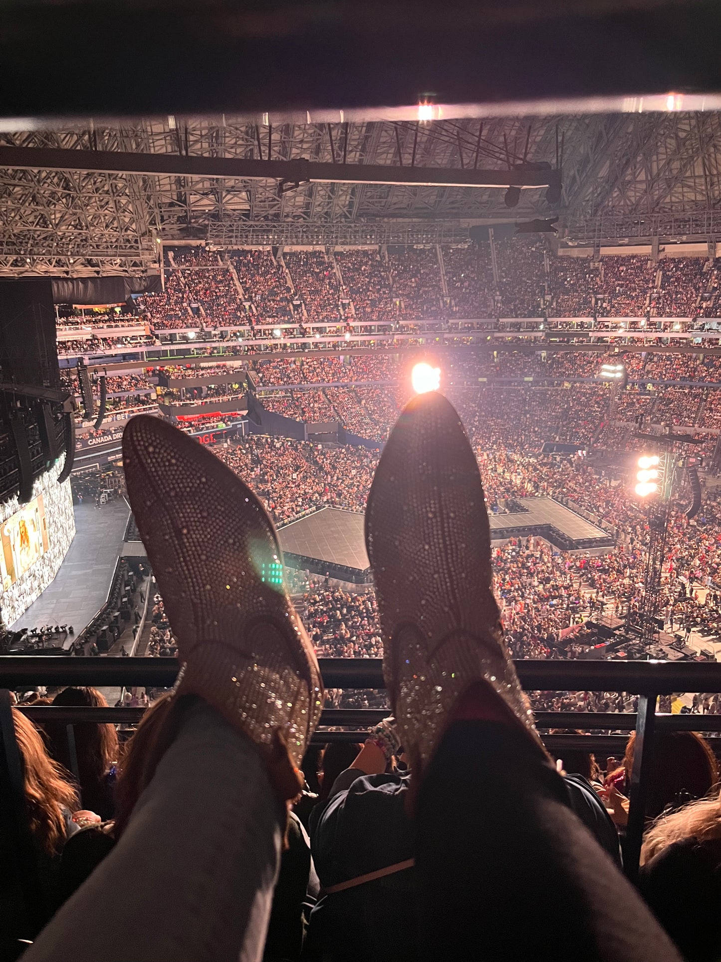 Brown Era Boots