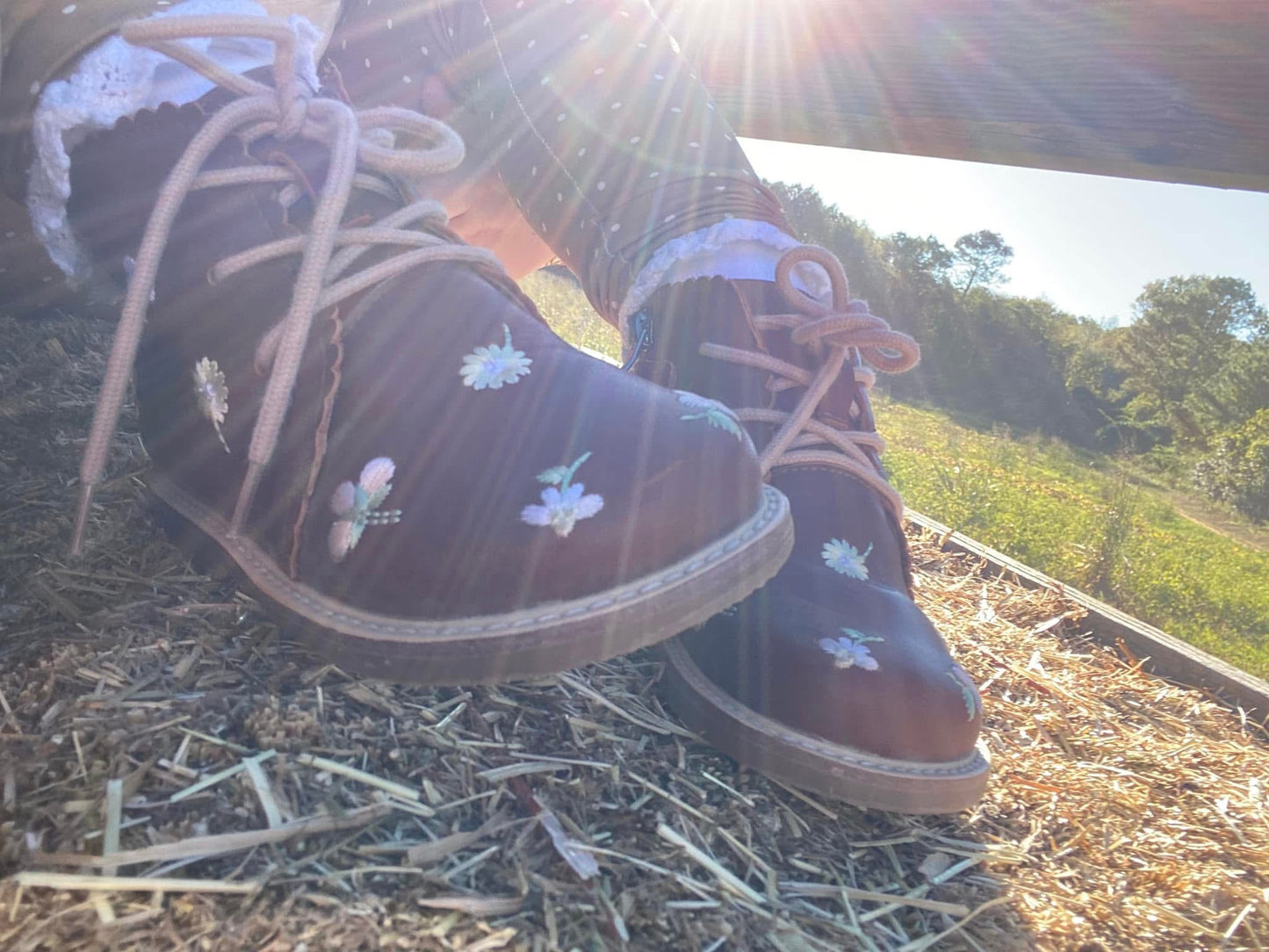 Brown Embroidered Will Marie