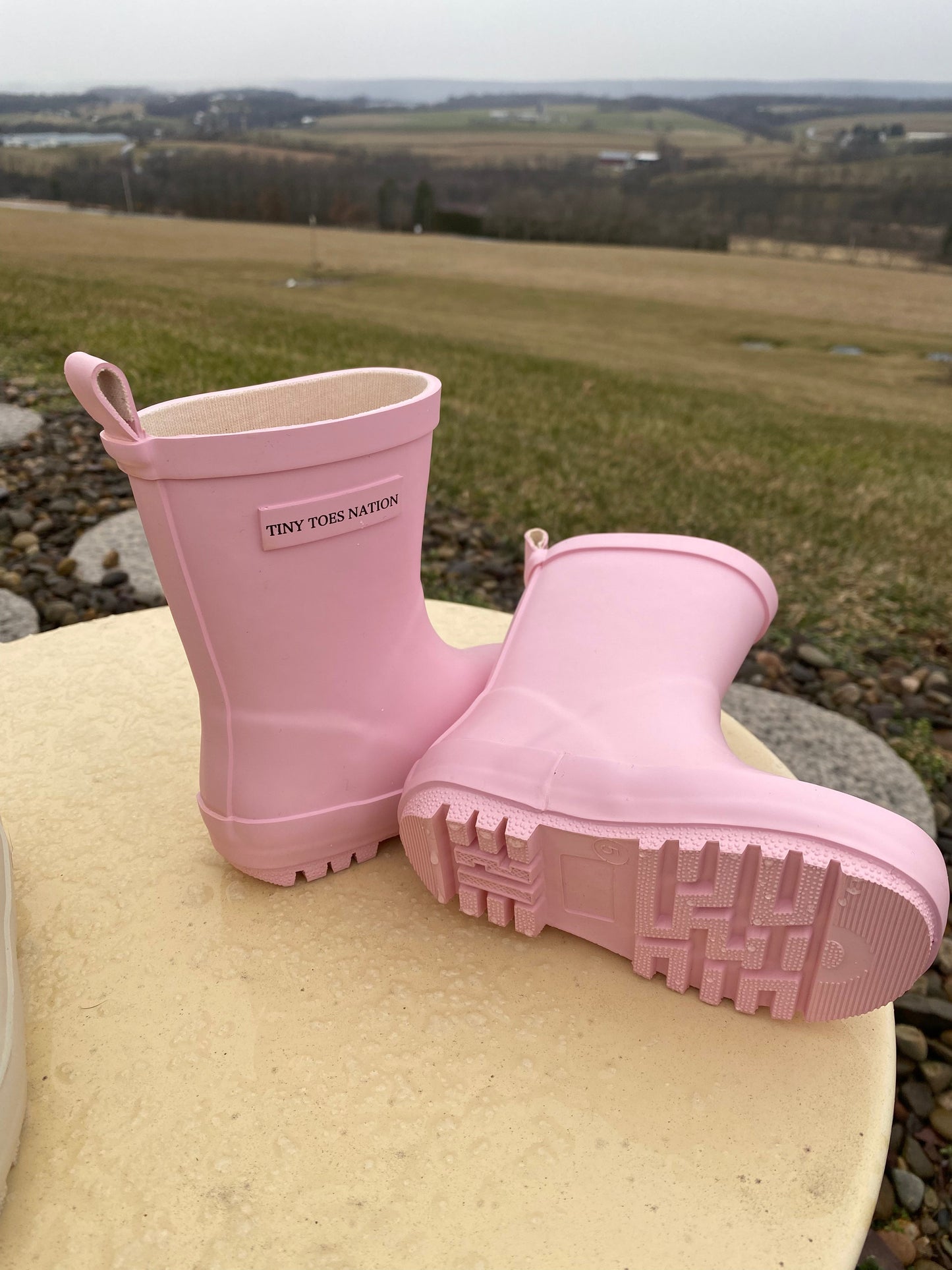 Pink Rainboots